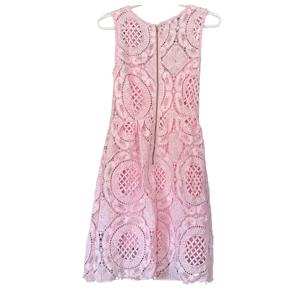Kimchi Blue Pink Lace A Line Dress S Barbiecore Coquette Fit and Flare Delicate - Picture 2 of 4